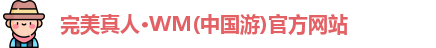 WM完美真人